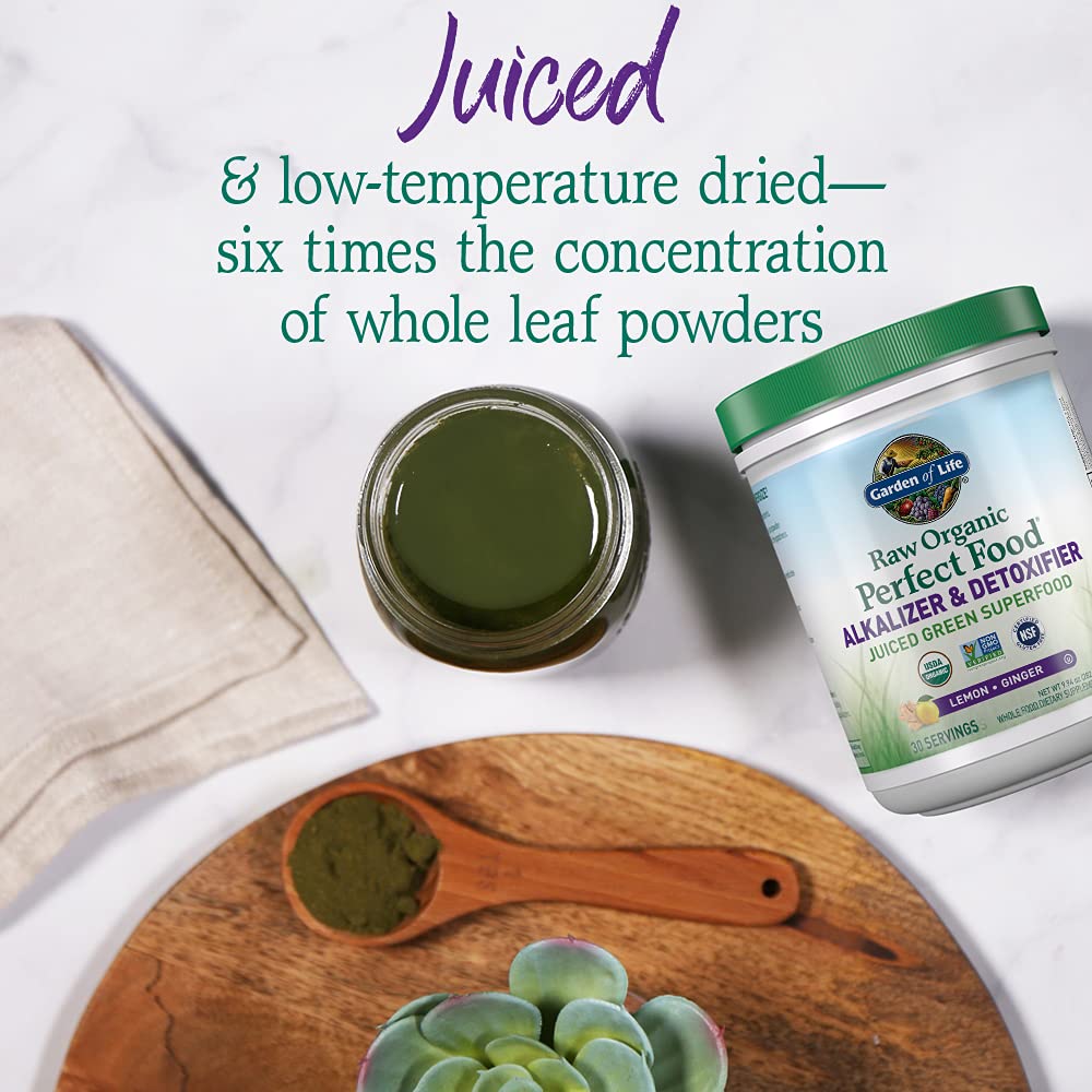 Garden of Life Raw Organic Perfect Food Alkalizer & Detoxifier Juiced Greens Superfood - Maple Wellness Supplements