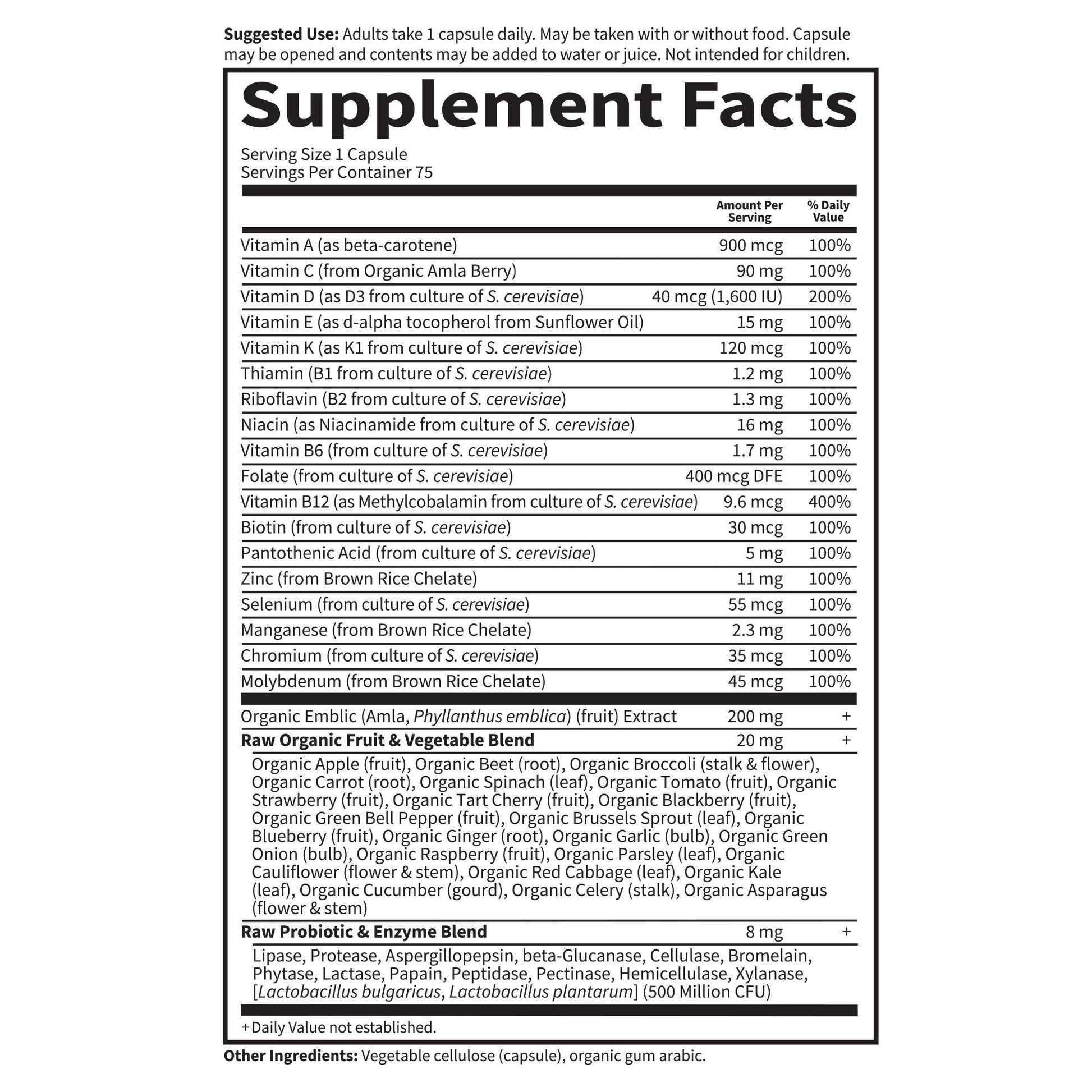 Garden of Life Vitamin Code Raw One for Men, Once Daily Multivitamin, 75 Capsules, One a Day Mens Vitamins Plus Fruit, Veggies & Probiotics for Mens Health - Maple Wellness Supplements