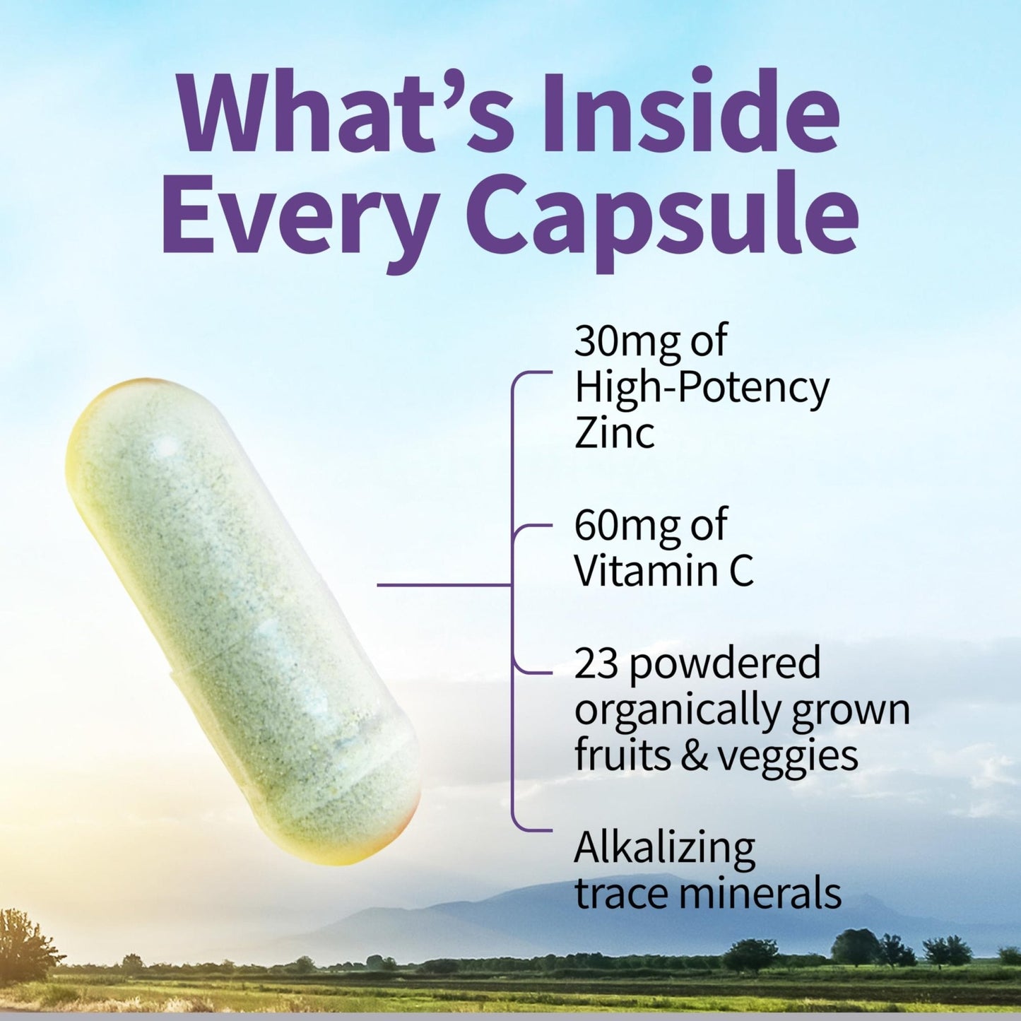 Garden of Life Zinc Supplements 30mg High Potency Raw Zinc and Vitamin C Multimineral Supplement, Vitamin Code Vitamins Trace Minerals & Probiotics - Maple Wellness Supplements