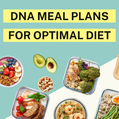 Genetic Methylation Test & Functional Health DNA Test | 750+ DNA Reports Including MTHFR, Cardiovascular, Nutrition, Gut Health, Hormones, Microbiome | Supplement & Diet Recommendations - Maple Wellness Supplements