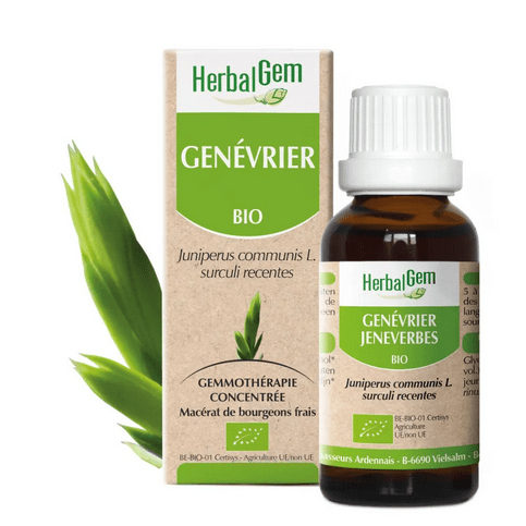 Genevrier BIO Macerat mère bourgeons Flacon 30 ml HERBALGEM - Maple Wellness Supplements