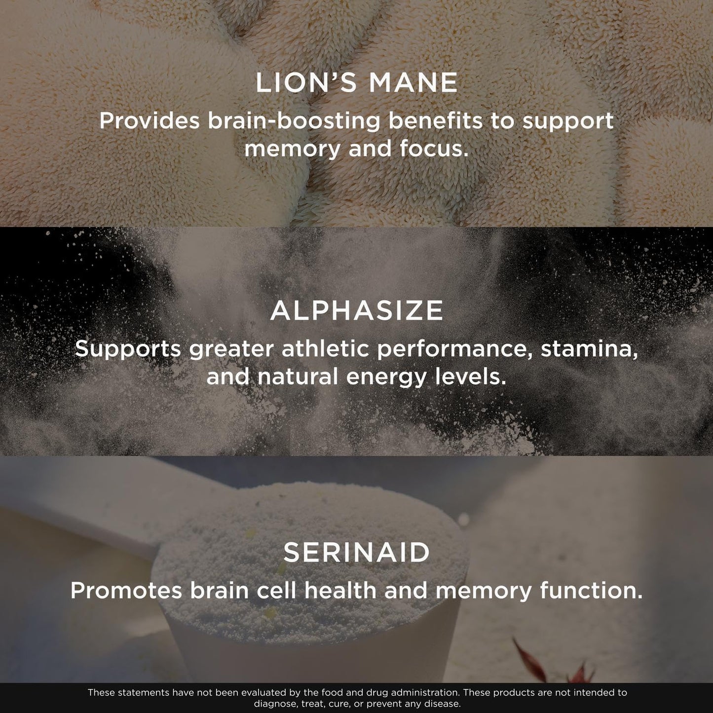 Genius Consciousness, Super Nootropic Brain Supplement Powder, Mango - Boost Focus, Cognitive Function, Concentration & Memory Booster - Alpha GPC & Lions Mane Mushroom for Neuro Energy & IQ - Maple Wellness Supplements