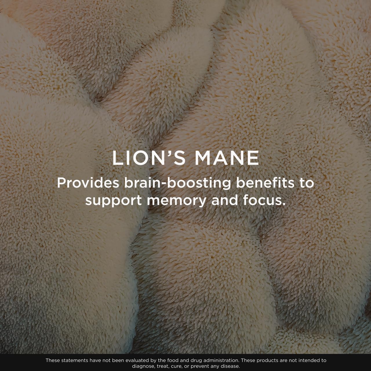 Genius Lion's Mane Soft Chews Supplement – Nootropic Mushroom for Focus, Clarity, Memory, Energy, Brain Health Support – Salted Caramel Flavor - Maple Wellness Supplements