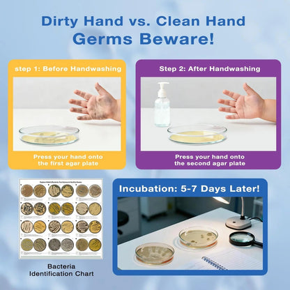 Giant Microbiology Bacteria Science Kit for Kids:2 XL 150mm Prepoured Nutrient Agar Plates, Petri Dishes with Agar & Colony Characteristics Poster for School Projects & Educational Gifts - Maple Wellness Supplements