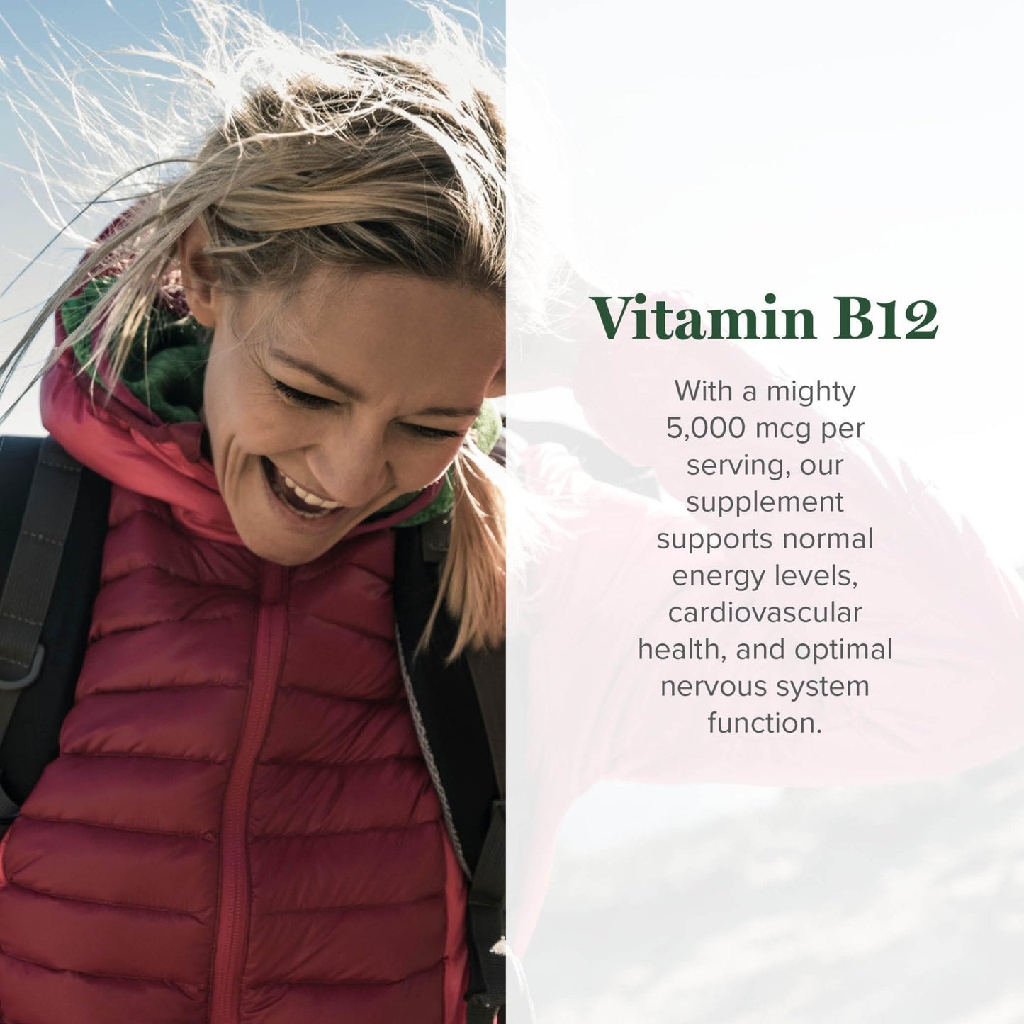 Global Healing Center - Vitamin B12 Sublingual 5000 MCG Organic Liquid Supplement, Methylcobalamin, Adenosylcobalamin, Hydroxo Long-Lasting Energy - Maple Wellness Supplements