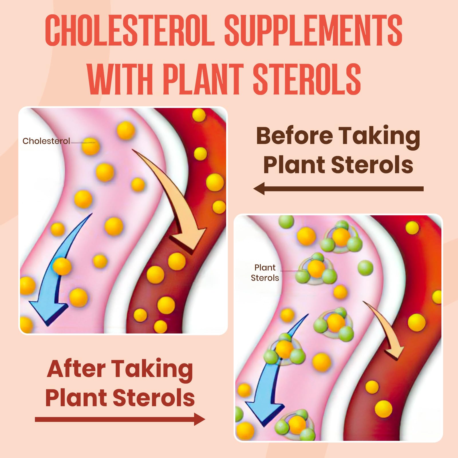Glorithiventa Cholesterol & Booty Gummies Supplement Bundle - Plant Sterols & Stanols + CurvaBoost BBL Herb Blend & Creatine Monohydrate - Cholesterol Normal Level, Booty, Curves & Energy - Maple Wellness Supplements