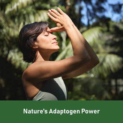 GlowEver KSM-66 Ashwagandha Supplements with L-Theanine Moringa Organic Mushrooms Complex Ginseng Ginkgo Biloba - Mood & Energy Support, Cortisol Manager, Immune Support, 60 Vegan Capsules - Maple Wellness Supplements