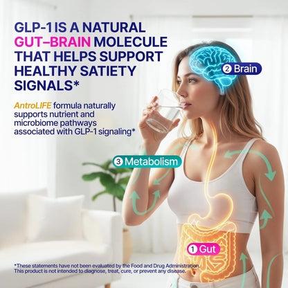 GLP-1 Support – Akkermansia Postbiotic 10B TFU + Berberine HCl 250 mg | 18-Ingredient System | Appetite, Mood & Metabolic Support | Inulin-Free | Saffron, NAD+ Cofactors | 3 Pack | 90-Day Supply - Maple Wellness Supplements