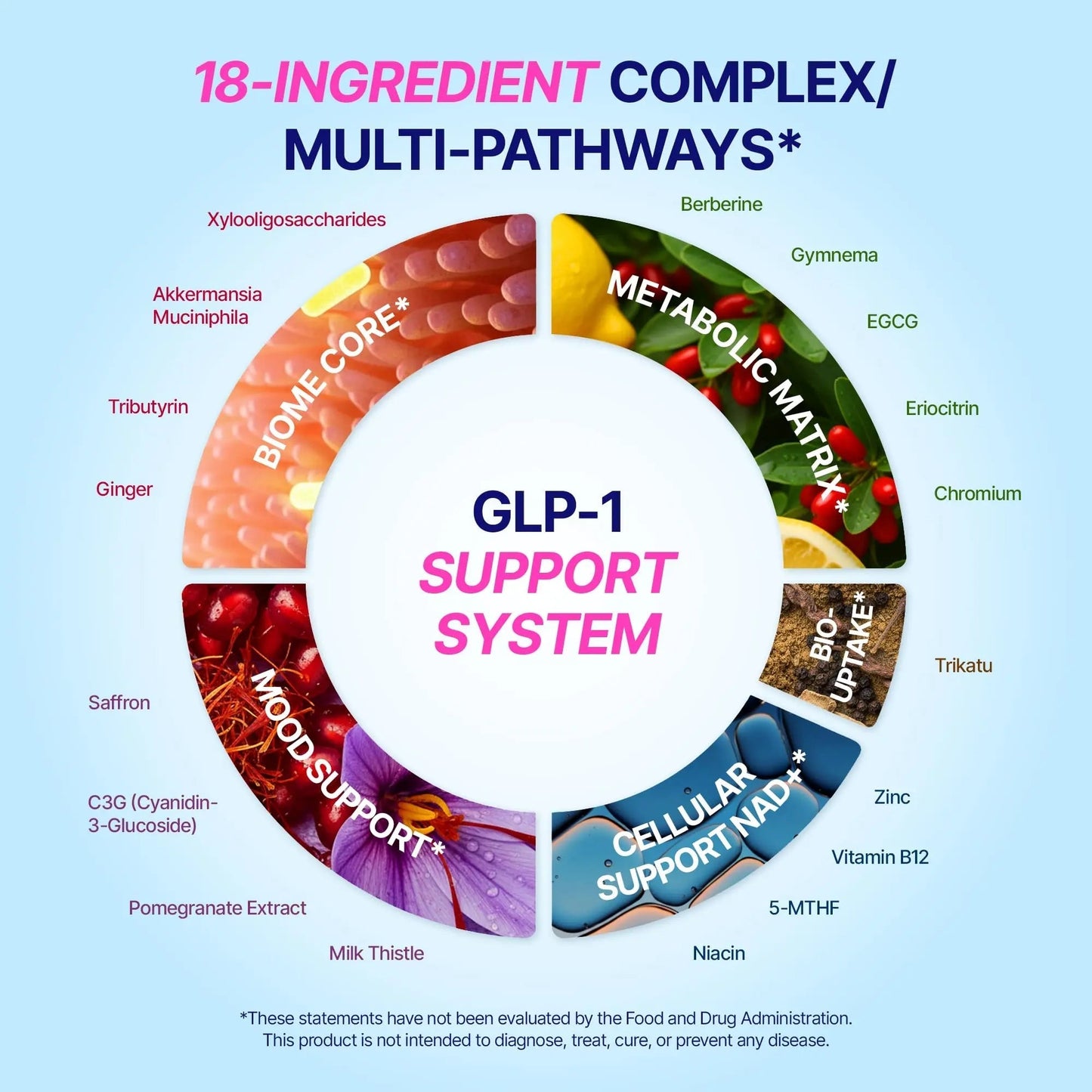 GLP-1 Support – Akkermansia Postbiotic 10B TFU + Berberine HCl 250 mg | 18-Ingredient System | Appetite, Mood & Metabolic Support | Inulin-Free | Saffron, NAD+ Cofactors | 3 Pack | 90-Day Supply - Maple Wellness Supplements