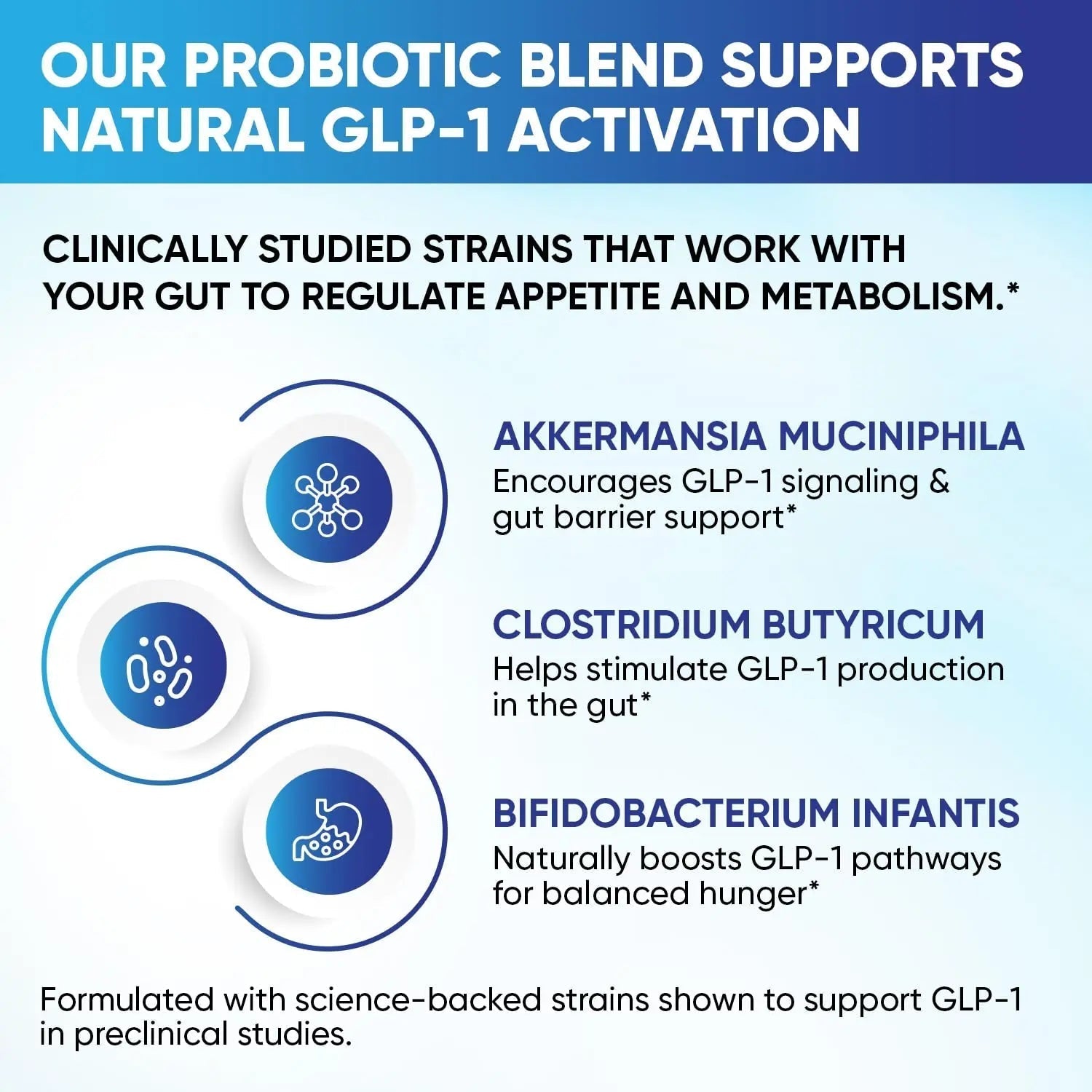 GLP-1 XLR8 Supplement for Weight Loss, Digestion, Constipation, Bloating Relief with Akkermansia 2.6 Billion AFU Live Prebiotic Probiotic Postbiotic Gut Health + Berberine for Women Men 60 Capsules - Maple Wellness Supplements