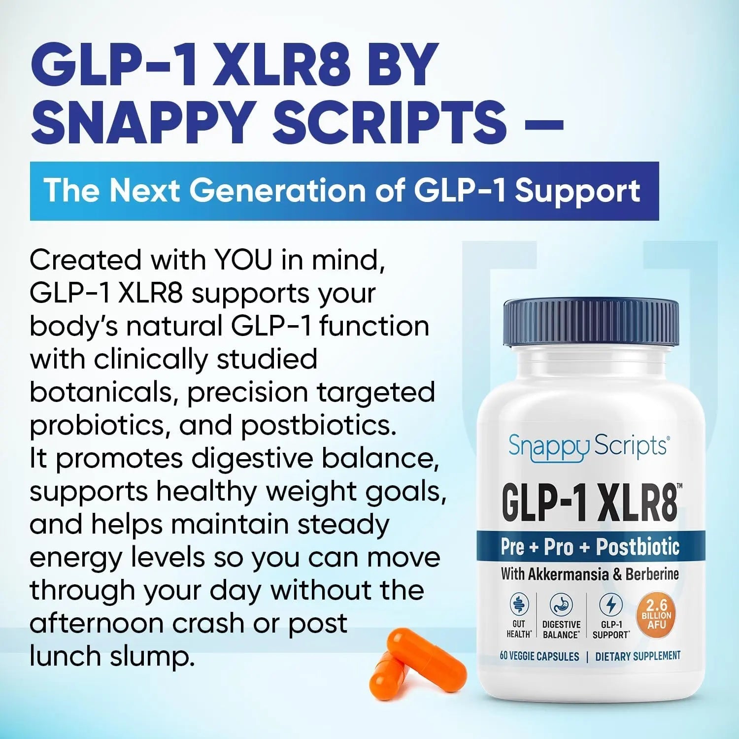 GLP-1 XLR8 Supplement for Weight Loss, Digestion, Constipation, Bloating Relief with Akkermansia 2.6 Billion AFU Live Prebiotic Probiotic Postbiotic Gut Health + Berberine for Women Men 60 Capsules - Maple Wellness Supplements