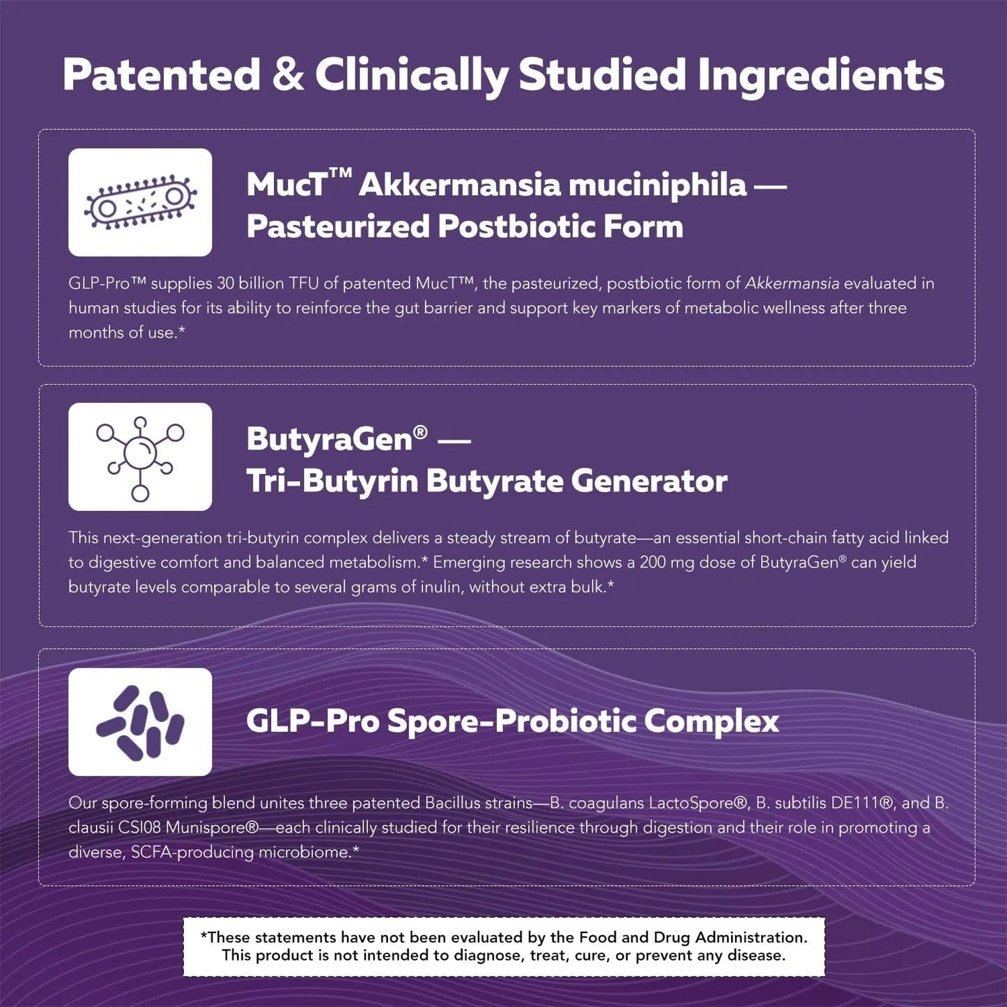 GLP-Pro™: Probiotic & Postbiotic Blend for Natural GLP-1 Support — Akkermansia MucT™, ButyraGen® Butyrate Generator & Spore Bacillus — Healthy Appetite, SCFA & Metabolic Balance — 30 Count - Maple Wellness Supplements