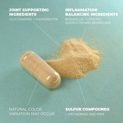 Glucosamine Chondroitin MSM Turmeric Boswellia - Joint Support Supplement. Antioxidant - Maple Wellness Supplements