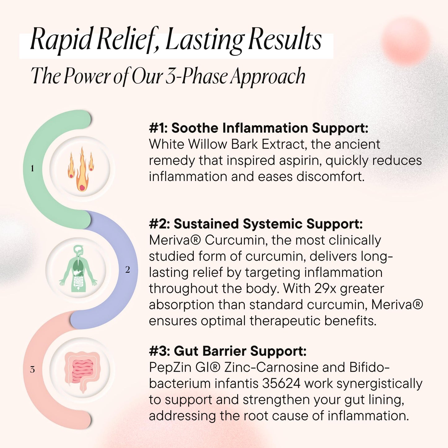 Goodness Lover Inflammation Pro, with 10 Billion CFU for Digestive Support, Curcumin, White Willow bark Extract, Zero fillers, Vegan, 30 Servings - Maple Wellness Supplements