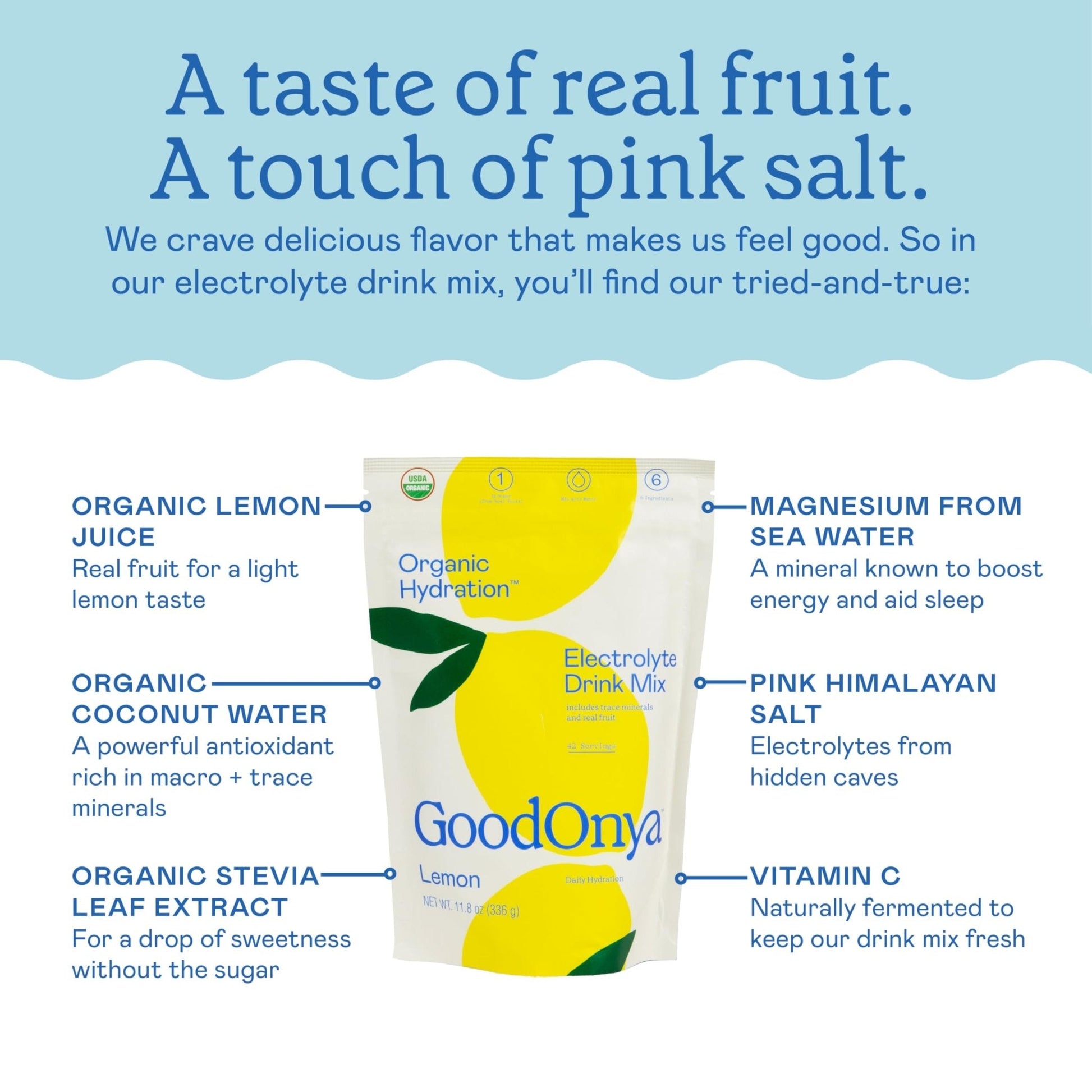 GOODONYA Organic Hydration Electrolyte Drink Mix, Certified Organic Hydration Powder, Non-GMO, Biochecked Glyphosate Free, Low Sugar, Lemonade Flavor, - Maple Wellness Supplements