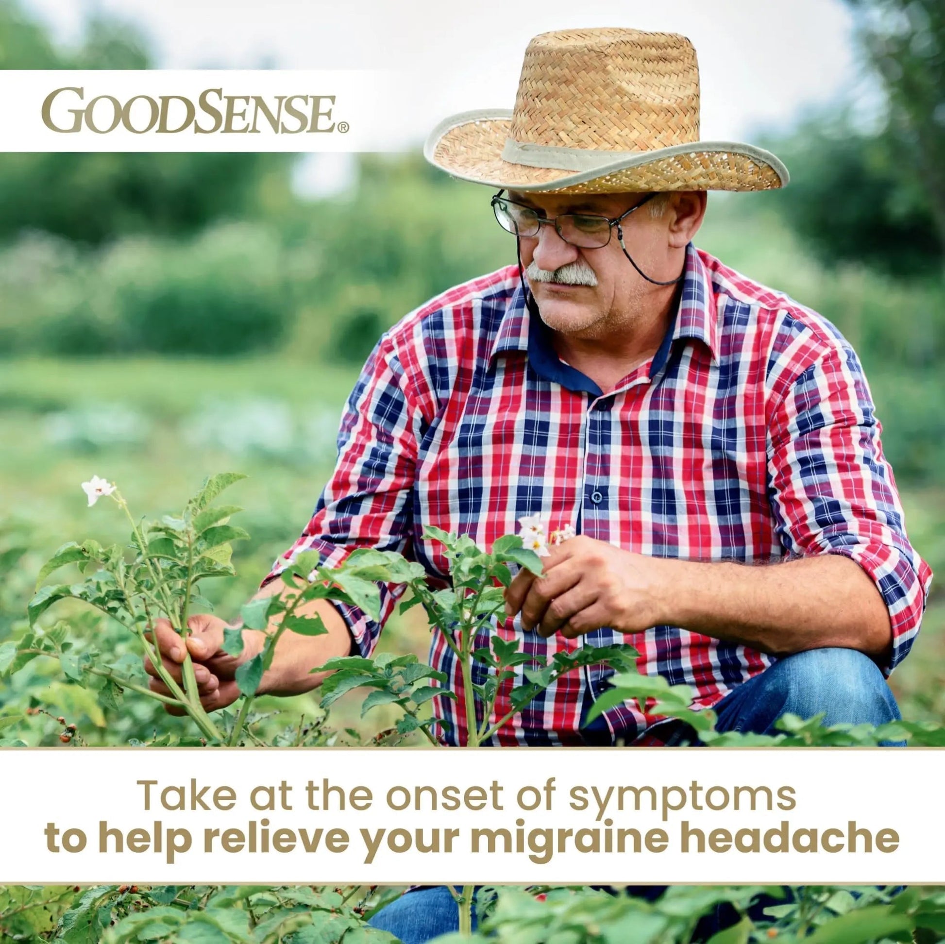 GoodSense Migraine Formula Caplets - Acetaminophen, Aspirin (NSAID) & Caffeine - Migraine Pain Relief, 24 Count - Maple Wellness Supplements