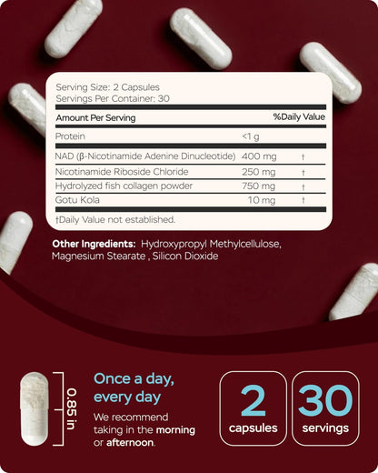 Gotu Kola and NAD Plus Supplement 1400mg - NMNH Supplement Alternative Supports Healthy Aging Complex with Nicotinamide Riboside & Gotu Kola, Collagen - Formula for Energy, Skin & Cognitive, 60 Caps - Maple Wellness Supplements