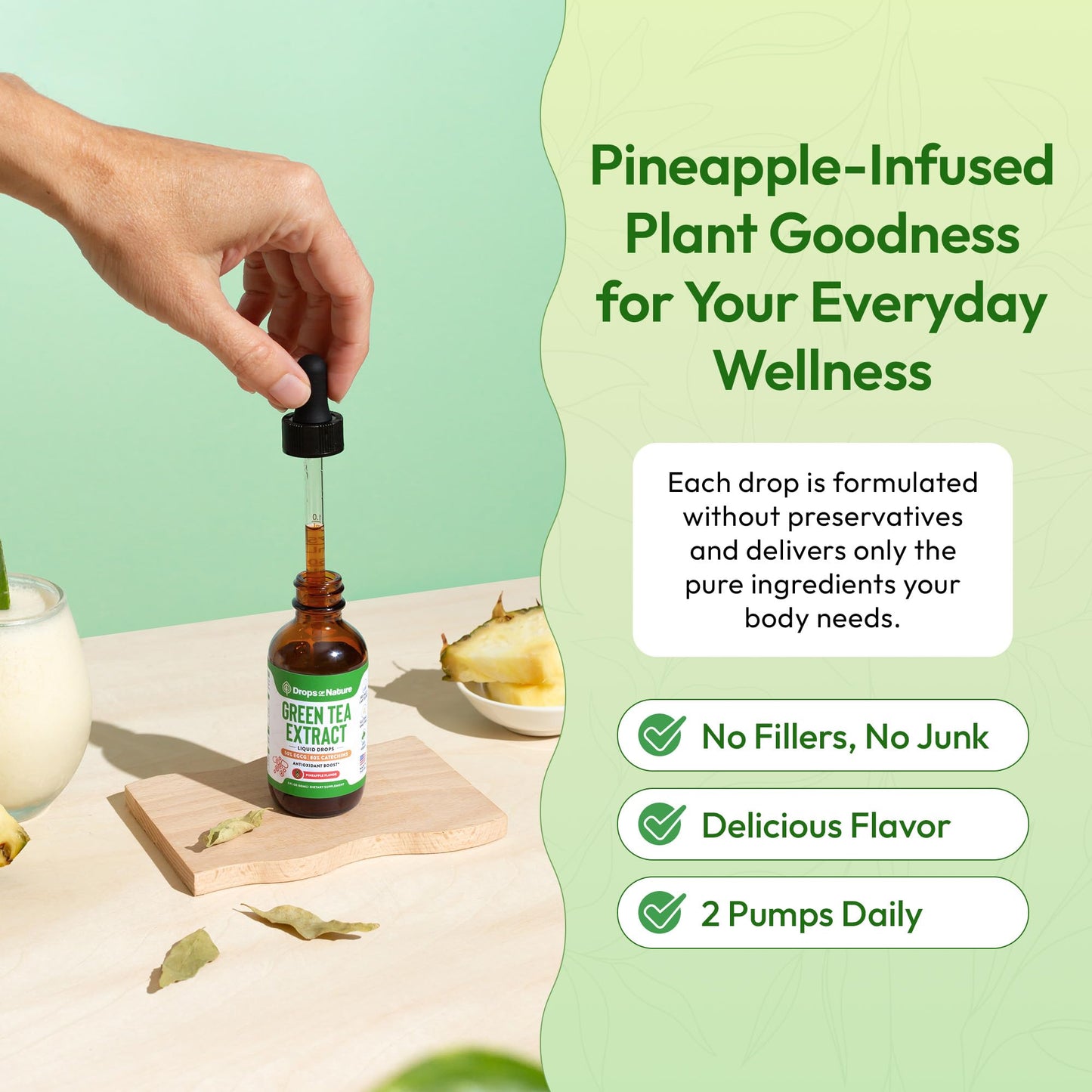 Green Tea 10:1 Extract 50% EGCG - Green Tea Liquid Drops - Vegan, 4X More Powerful Than Pills & Capsules - 2oz Antioxidant & Immune Supplement - Maple Wellness Supplements
