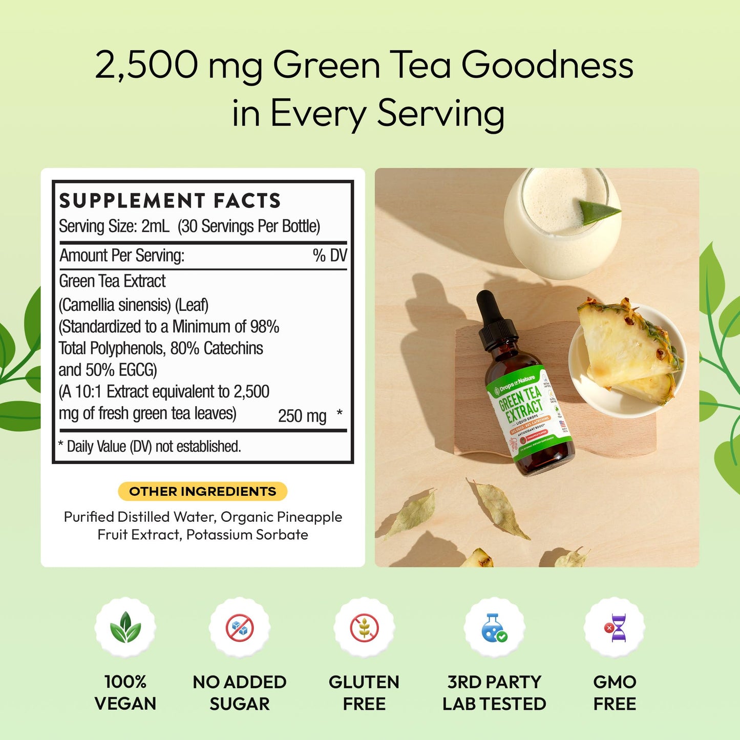 Green Tea 10:1 Extract 50% EGCG - Green Tea Liquid Drops - Vegan, 4X More Powerful Than Pills & Capsules - 2oz Antioxidant & Immune Supplement - Maple Wellness Supplements