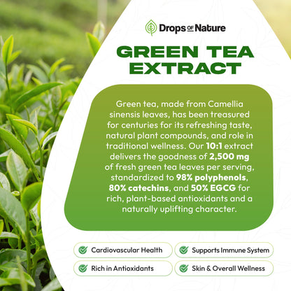 Green Tea 10:1 Extract 50% EGCG - Green Tea Liquid Drops - Vegan, 4X More Powerful Than Pills & Capsules - 2oz Antioxidant & Immune Supplement - Maple Wellness Supplements