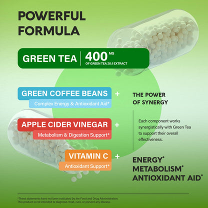 Green Tea Extract - 50% EGCG, Extra Strength 20:1 Extract - Natural Green Tea Supplement + Green Coffee Beans & Apple Cider Vinegar - Energy & Metabolism Support - Maple Wellness Supplements