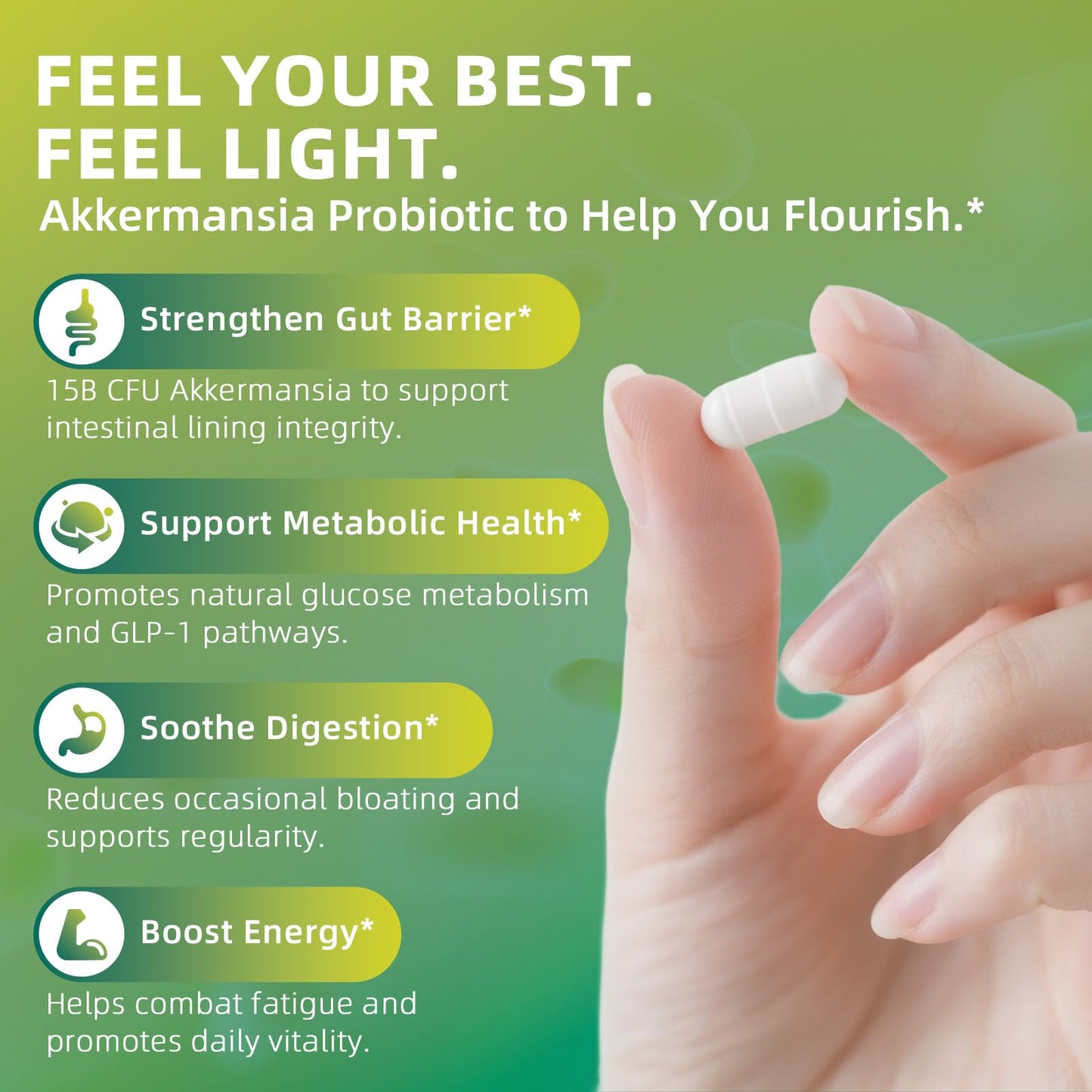 GREENPEOPLE Akkermansia Probiotics 15B CFU for Gut Function, 60CT Probiotics Supplement with Ceylon Cinnamon, Turmeric | Digestive Health & Metabolic Support - Maple Wellness Supplements