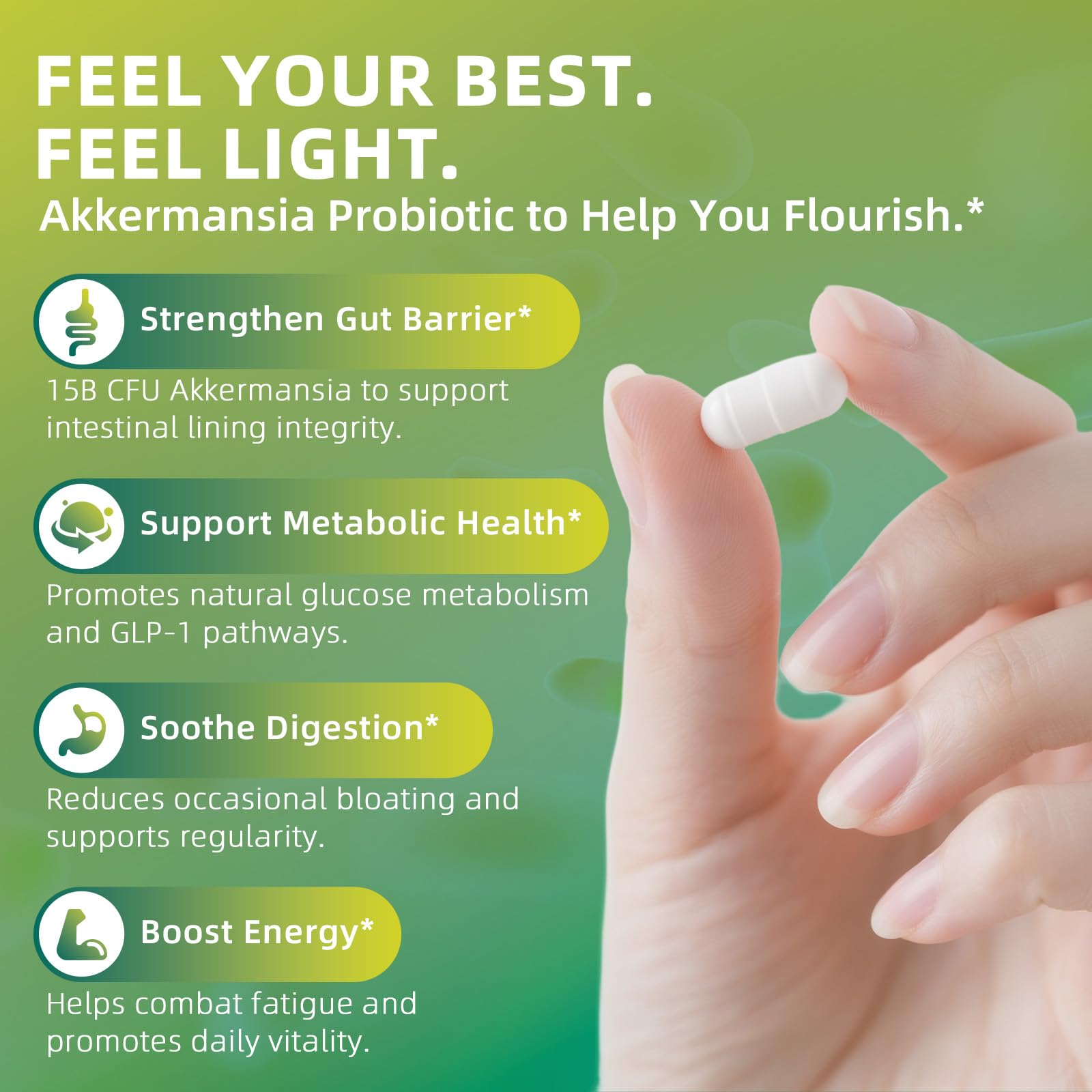 GREENPEOPLE Akkermansia Probiotics 15B CFU for Gut Function, 60CT Probiotics Supplement with Ceylon Cinnamon, Turmeric | Digestive Health & Metabolic Support - Maple Wellness Supplements