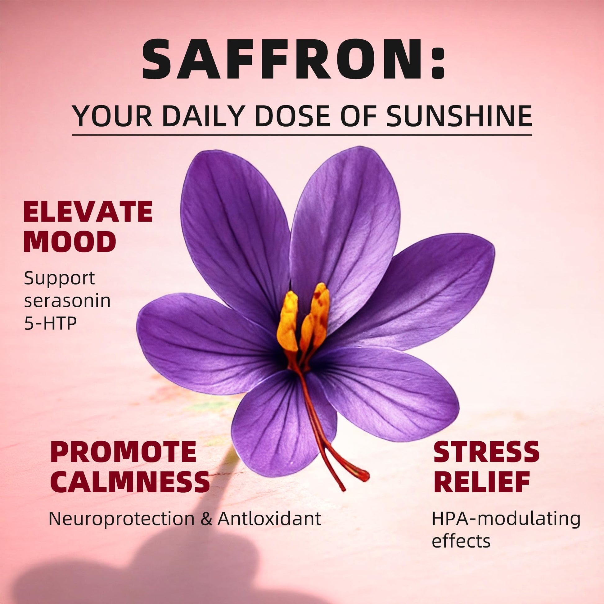 GREENPEOPLE Saffron Extract Supplements Drop - 24-in-1 88.5mg Saffron Extract with Ashwagandha,Black Cohosh & Lion's Mane for Mood&Focus,Stress Relief,Cortisol Reducer,Menopause – Vegan 2FL OZ - Maple Wellness Supplements