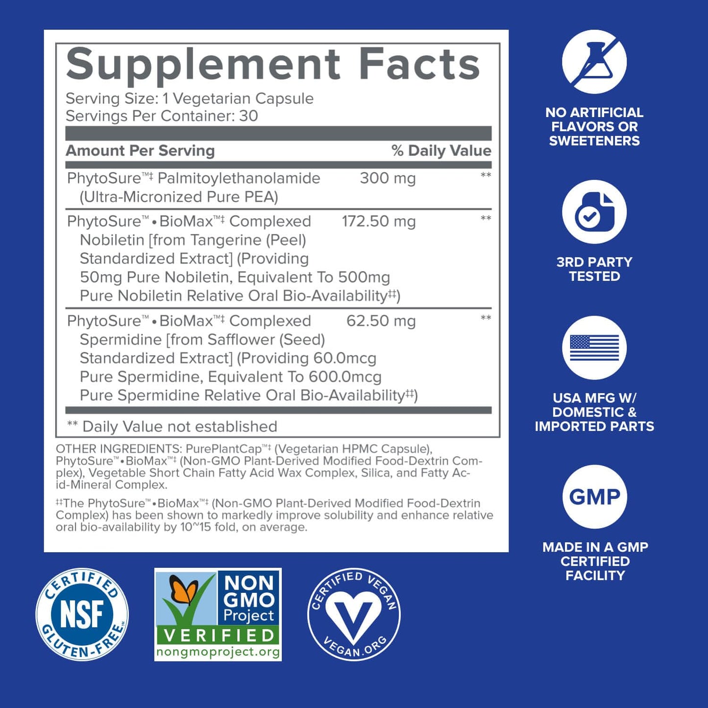 Gundry MD® Bio Sync Supplement for Daytime Energy, Supports Focus and Memory†* - (30 Capsules) - Maple Wellness Supplements
