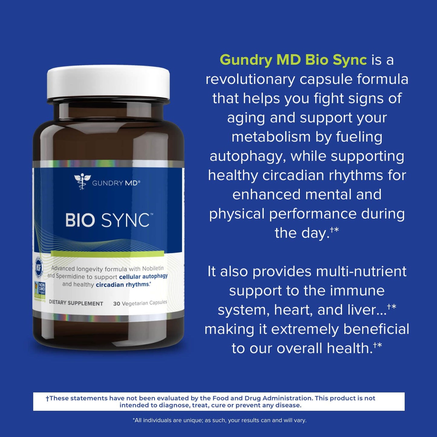 Gundry MD® Bio Sync Supplement for Daytime Energy, Supports Focus and Memory†* - (30 Capsules) - Maple Wellness Supplements