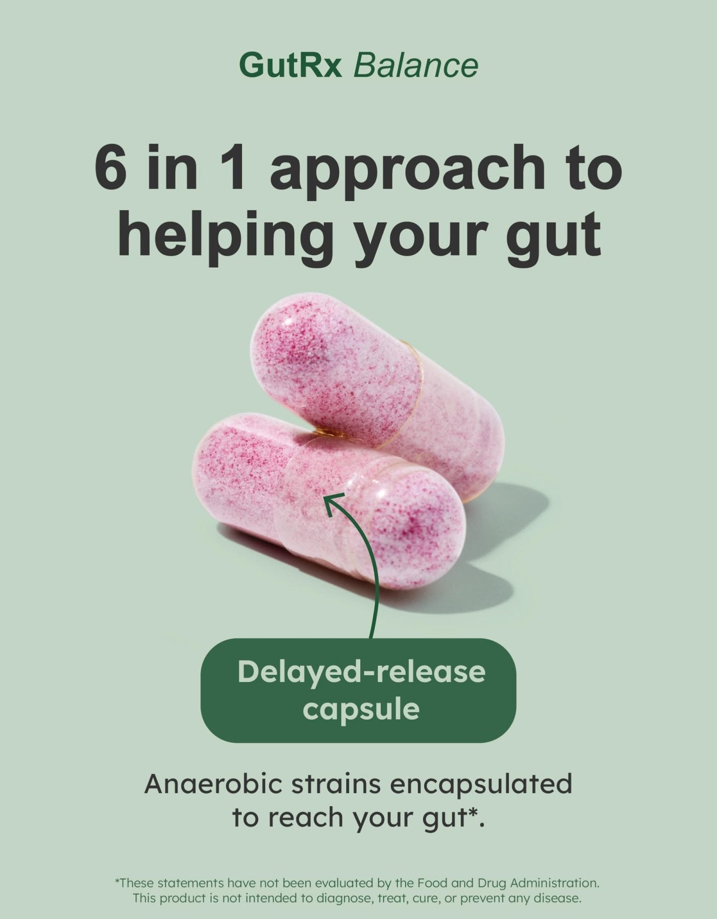 GutRx Balance – Probiotics for Women & Men with Akkermansia Probiotic & Christensenella, GLP-1 Alternative for Gut Health with Lactobacillus Plantarum, - Maple Wellness Supplements