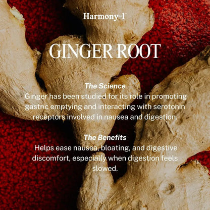 Harmony-1 Gut Health Supplement — Digestive Enzymes + Probiotics for Bloating Relief & Digestive Comfort — GLP-1 Friendly Digestive Support — 60 Capsules - Maple Wellness Supplements
