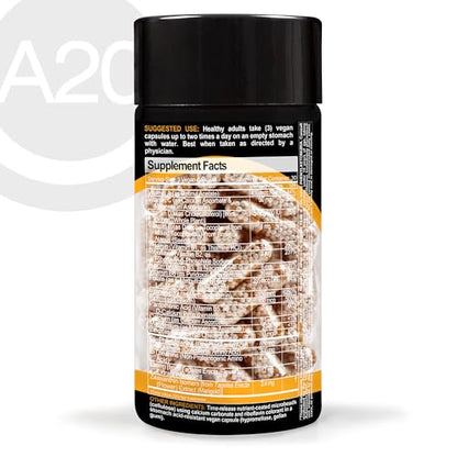 HCF A20 Microbead Brain Health Supplements for Adults for Memory, Focus, Calm, Mood, Alertness, Attention, Vision, Sleep, Immune System, 20 Premium Nootropic Nutrients Multivitamin & 7 Advances® Tech - Maple Wellness Supplements