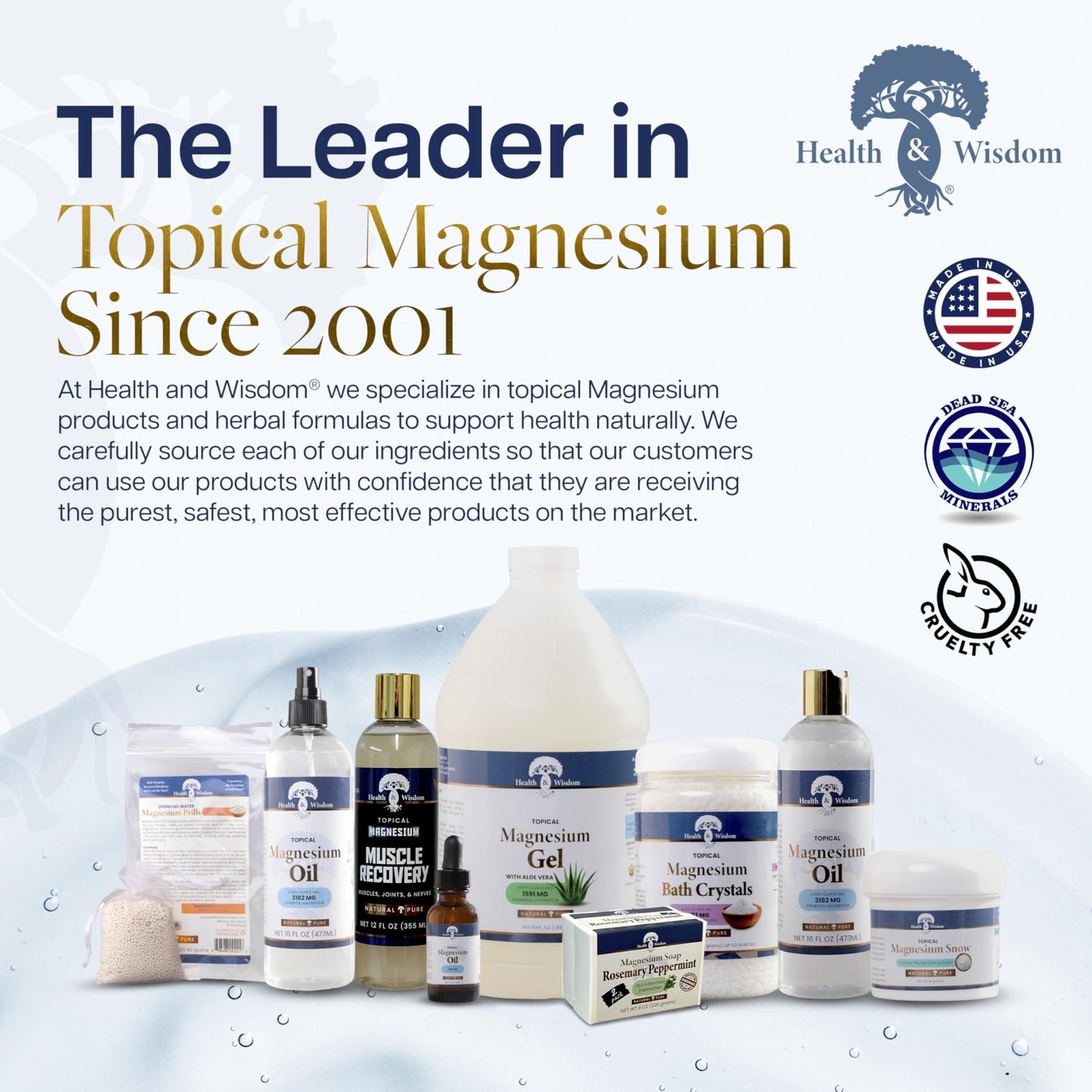Health and Wisdom Pure Magnesium Gel with Seaweed Extract and Aloe Vera - Topical Muscle & Joint Relief- Natural and Pure Skin & Scalp Moisturizing - Enhanced Absorption - 12 Fl oz - Maple Wellness Supplements