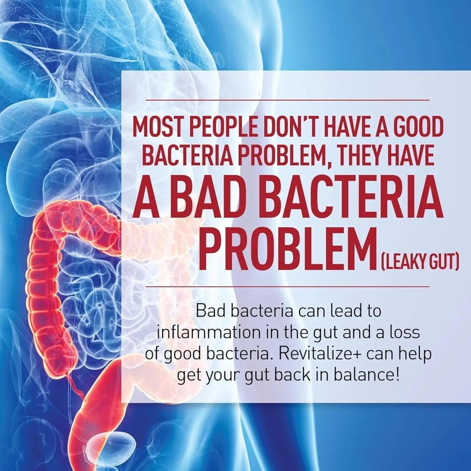 Health Plus Revitalize+ CoreBiome Butyrate Postbiotic for Complete Digestive Health, Leaky Gut & Colon | Gut Health Supplement for Men & Women | 60 Capsules, 30 Servings - Maple Wellness Supplements