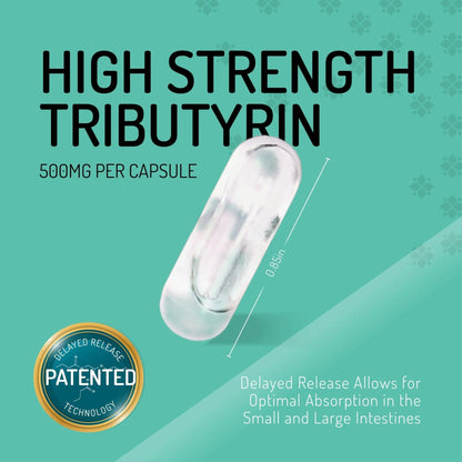 Healus Complete Biotic - Postbiotic Tributyrin Supplement - Postbiotics for Gut Health - Butyrate Gut Health Supplement - Maple Wellness Supplements