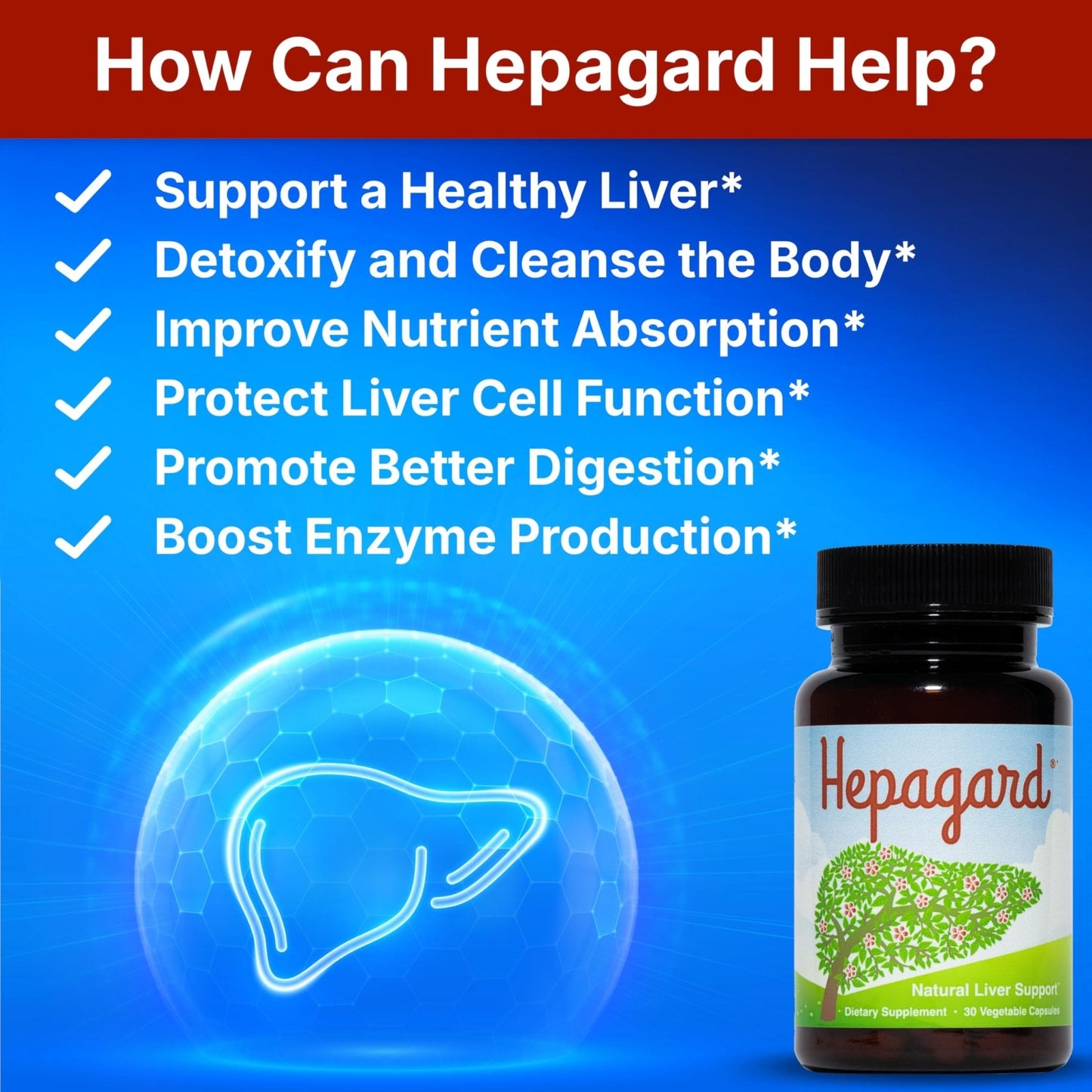 Hepagard - Natural Liver Support Supplement with N-Acetyl Cysteine (NAC) - Non-GMO, Vegan, Gluten-Free - Maple Wellness Supplements
