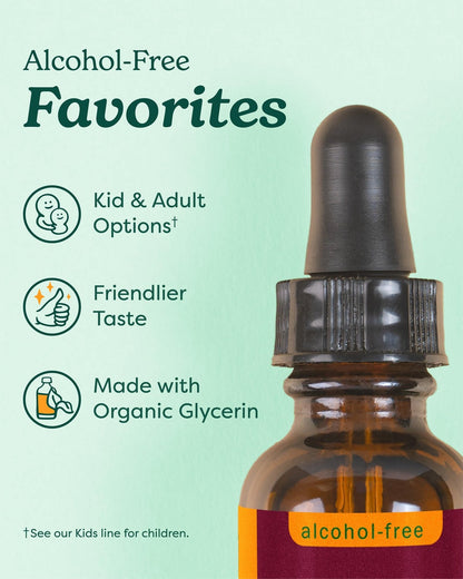 Herb Pharm, Lemon Balm Alcohol Free, 1 Fl Oz - Maple Wellness Supplements
