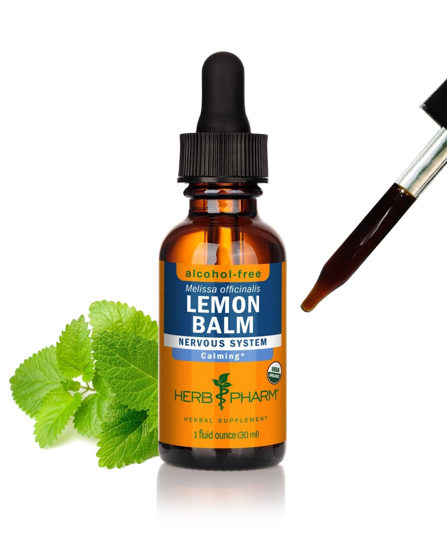 Herb Pharm, Lemon Balm Alcohol Free, 1 Fl Oz - Maple Wellness Supplements