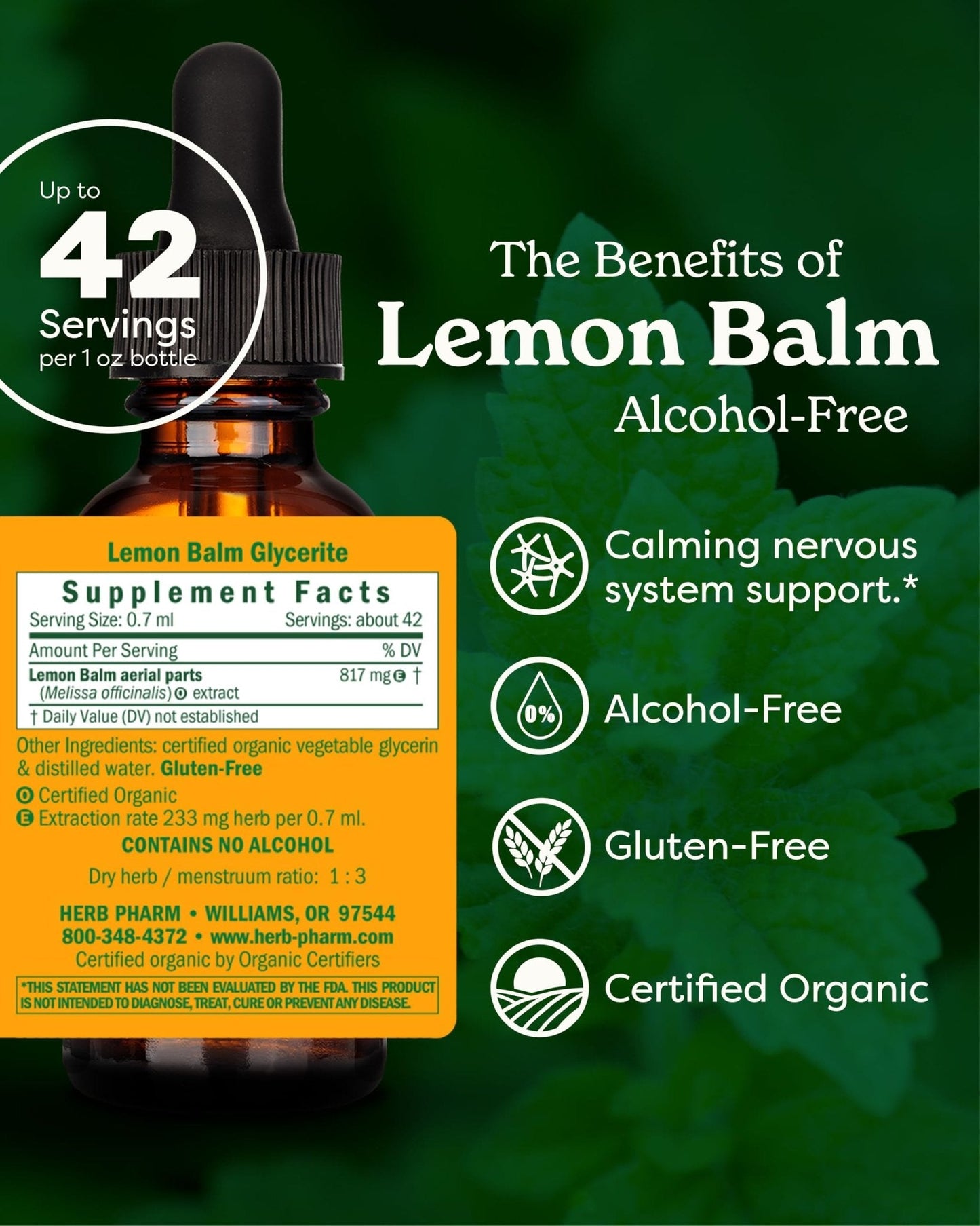 Herb Pharm, Lemon Balm Alcohol Free, 1 Fl Oz - Maple Wellness Supplements
