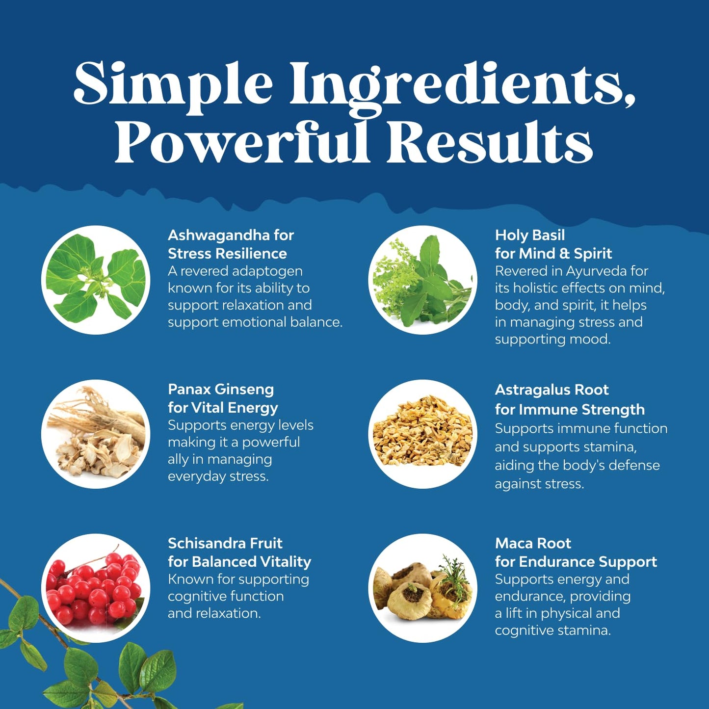 Herbal Adaptogen Mood Support Supplement - Calming Adaptogens Supplement for Stress & Cortisol Management with Ashwagandha Rhodiola Rosea & Maca Root - Vegan & Daytime Friendly - 60 Count - Maple Wellness Supplements
