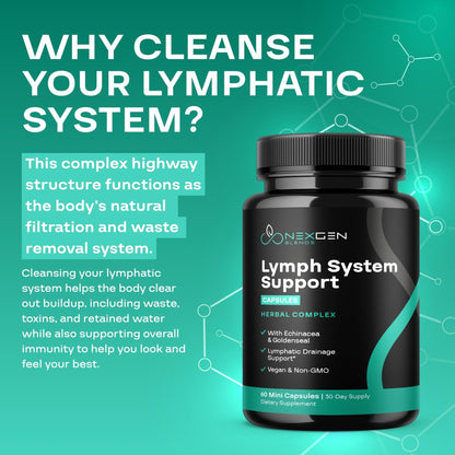 Herbal Lymph System Support Supplement - Lymphatic Support Complex with Echinacea Goldenseal Astragalus & Hydroxytyrosol for Lymphatic Drainage & Immune Support - Vegan Non-GMO Gluten Free (1 Month) - Maple Wellness Supplements