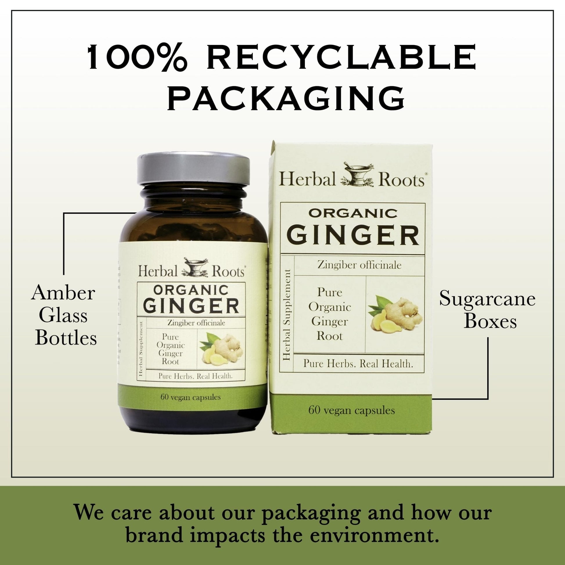 Herbal Roots Ginger Supplement | Organic Ginger Root Capsules | 1,200 mg of Pure Ginger Powder per Serving | 60 Vegan Capsules - Maple Wellness Supplements