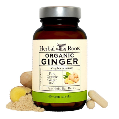 Herbal Roots Ginger Supplement | Organic Ginger Root Capsules | 1,200 mg of Pure Ginger Powder per Serving | 60 Vegan Capsules - Maple Wellness Supplements