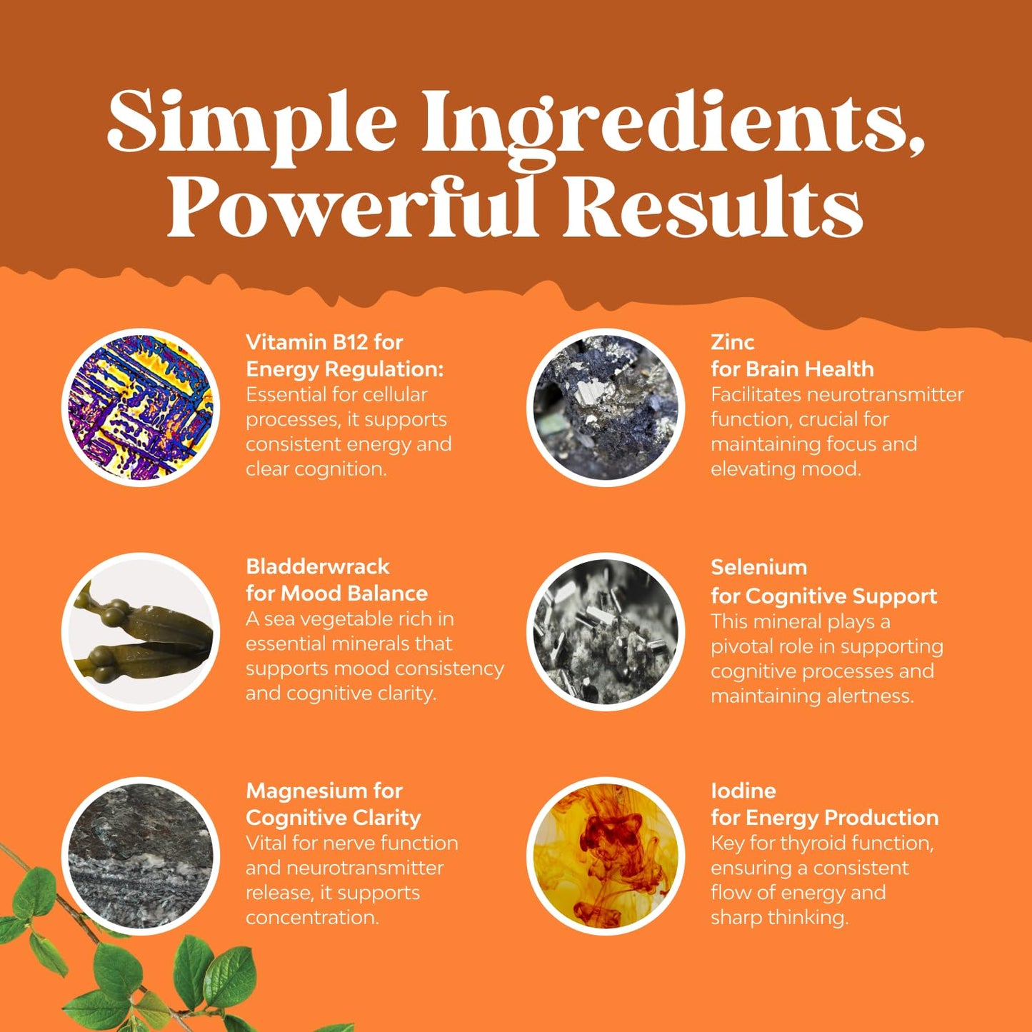 Herbal Thyroid Support Complex - Potent Kelp Iodine Supplement with L Tyrosine, Bladderwrack, Selenium & Pure Ashwagandha for Hormone Balance - Maple Wellness Supplements