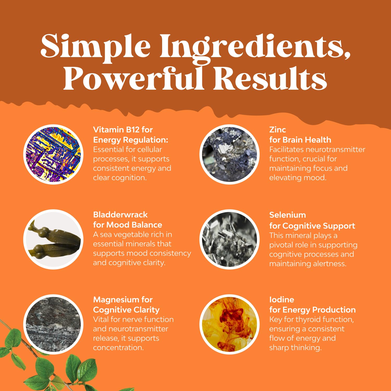 Herbal Thyroid Support Complex - Potent Kelp Iodine Supplement with L Tyrosine, Bladderwrack, Selenium & Pure Ashwagandha for Hormone Balance - Maple Wellness Supplements