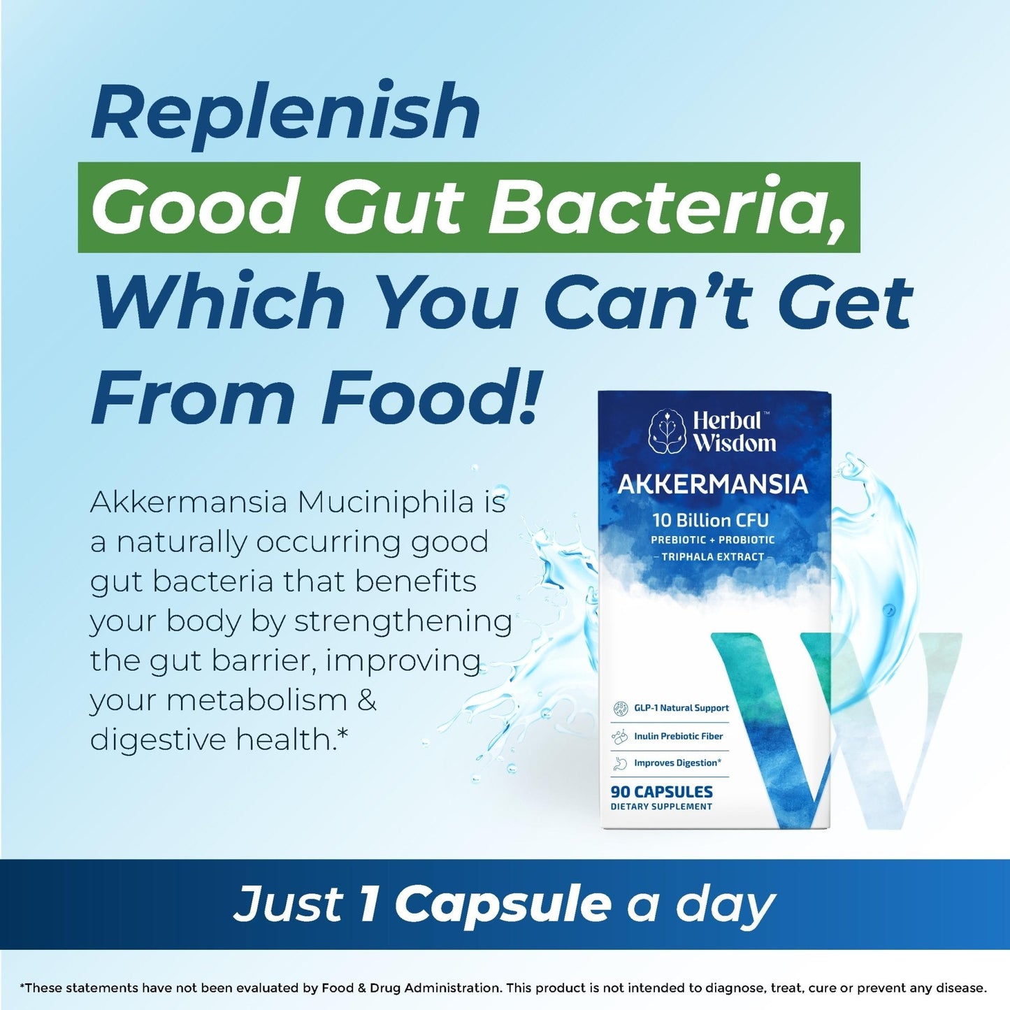 Herbal Wisdom Akkermansia Probiotic 10 Billion CFU - Advanced Support, Probiotic+Prebiotic | for Gut & Metabolism Support - No Bloating | with Inulin & Triphala - Maple Wellness Supplements