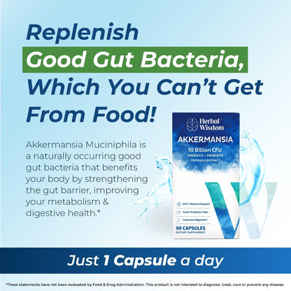 Herbal Wisdom Akkermansia Probiotic 10 Billion CFU - Advanced Support, Probiotic+Prebiotic | for Gut & Metabolism Support - No Bloating | with Inulin & Triphala - Maple Wellness Supplements