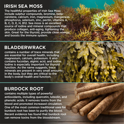HerbaMe Organic Irish Sea Moss with Bladderwrack, Burdock Root & Black Pepper Extract, 150 Capsules, Thyroid Support, Natural Iodine Source, Promotes Immune System, Cell Food, Alkaline Supplement - Maple Wellness Supplements