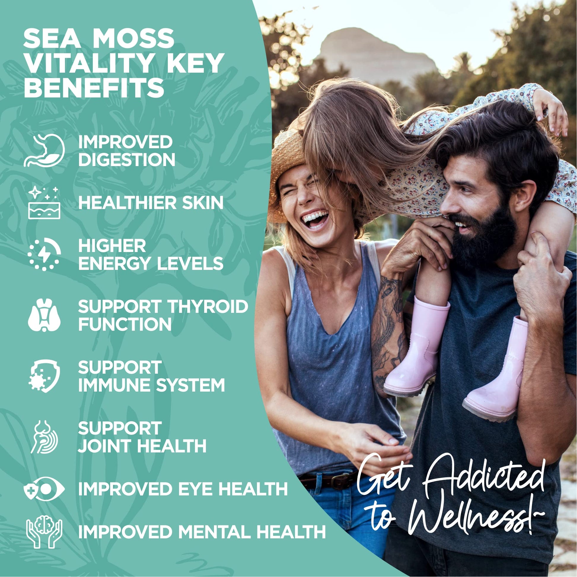 HerbaMe Organic Irish Sea Moss with Bladderwrack, Burdock Root & Black Pepper Extract - Maple Wellness Supplements